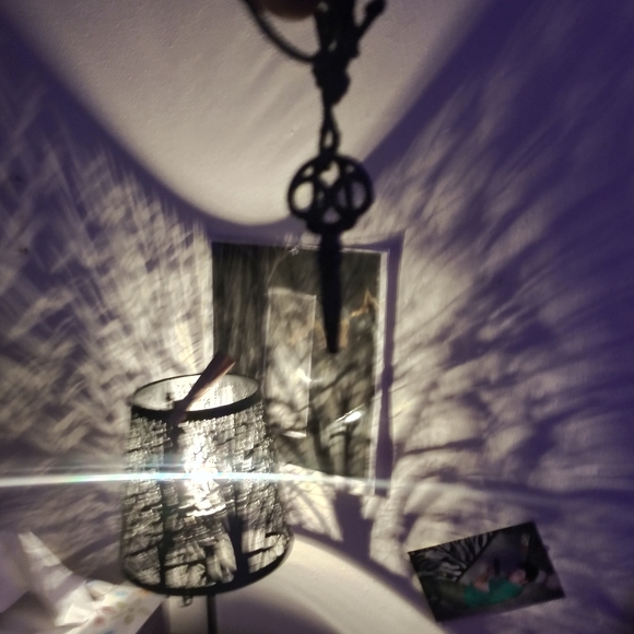 Meet your Posher, Joseph - Picture 4 of 4